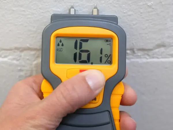 Moisture meter reading taken on a wall during structural drying